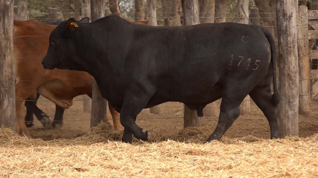 La Legua de Gelid, Rp 1715.00_00_24_10.Imagen fija004