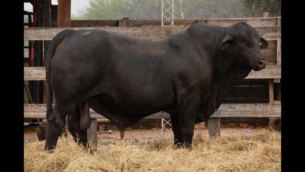 Quilpo Norte, Rp 3313.00_00_53_45.Imagen fija004